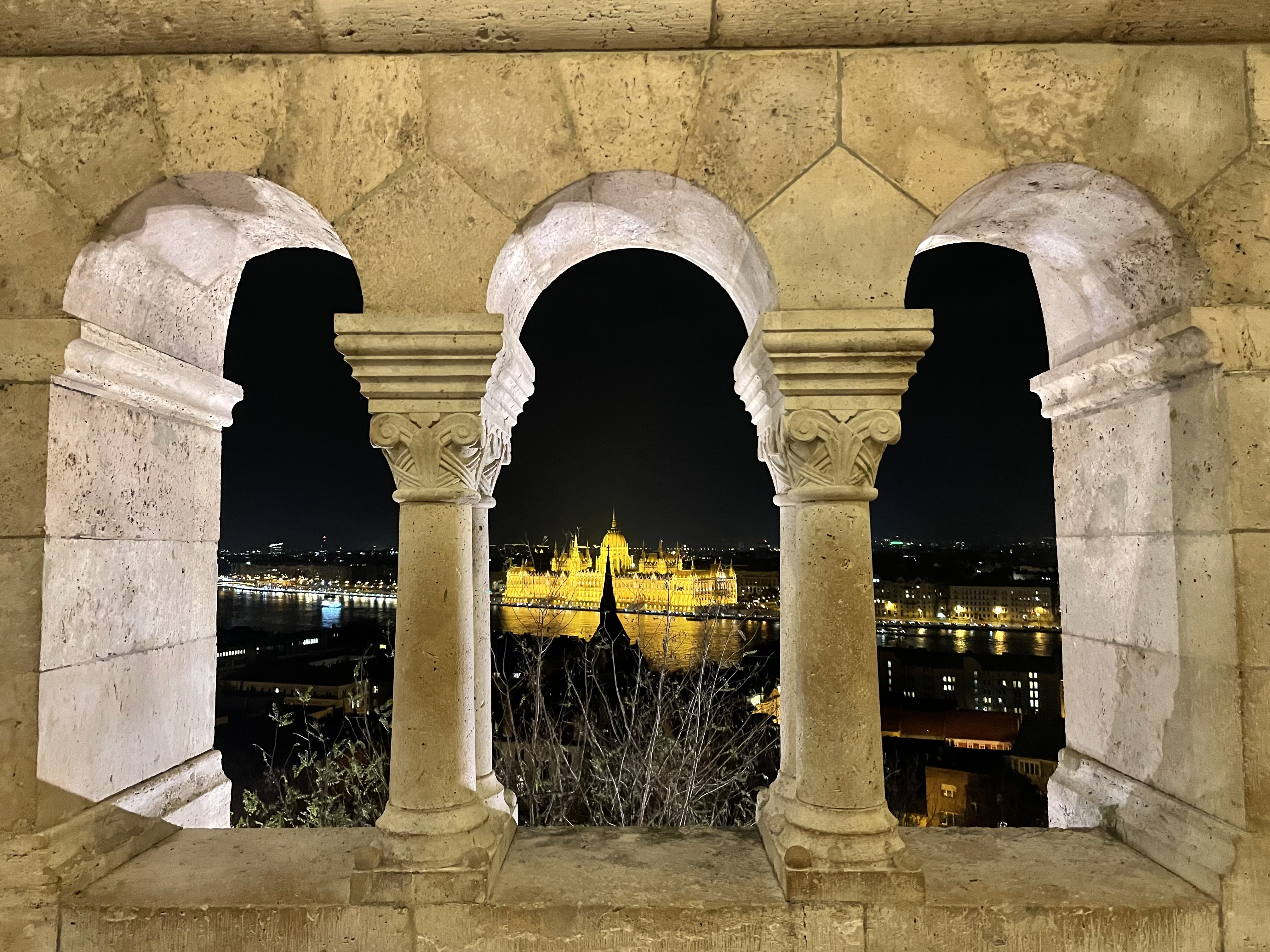 Parliament at night from the river