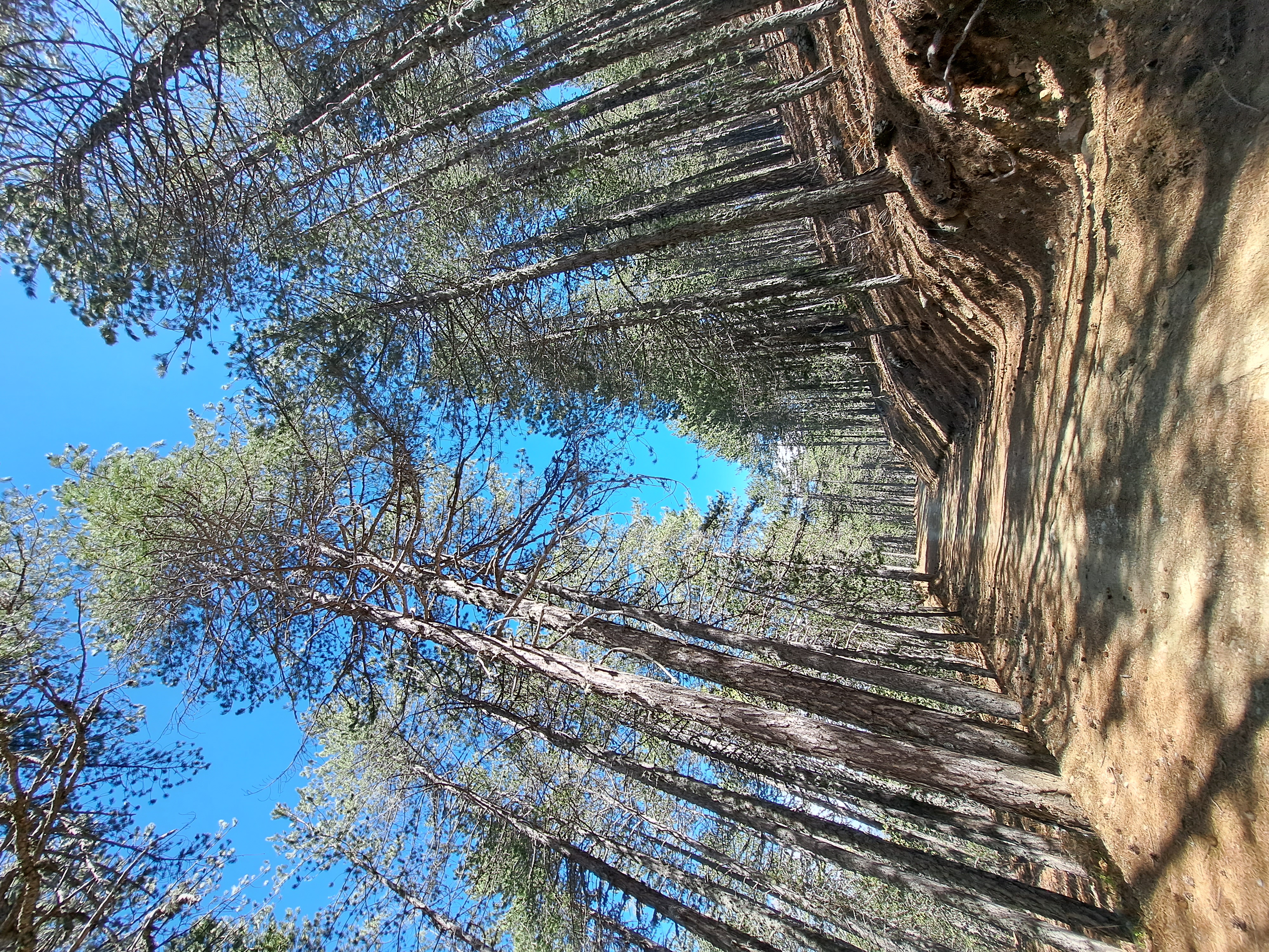 Troodos Hiking