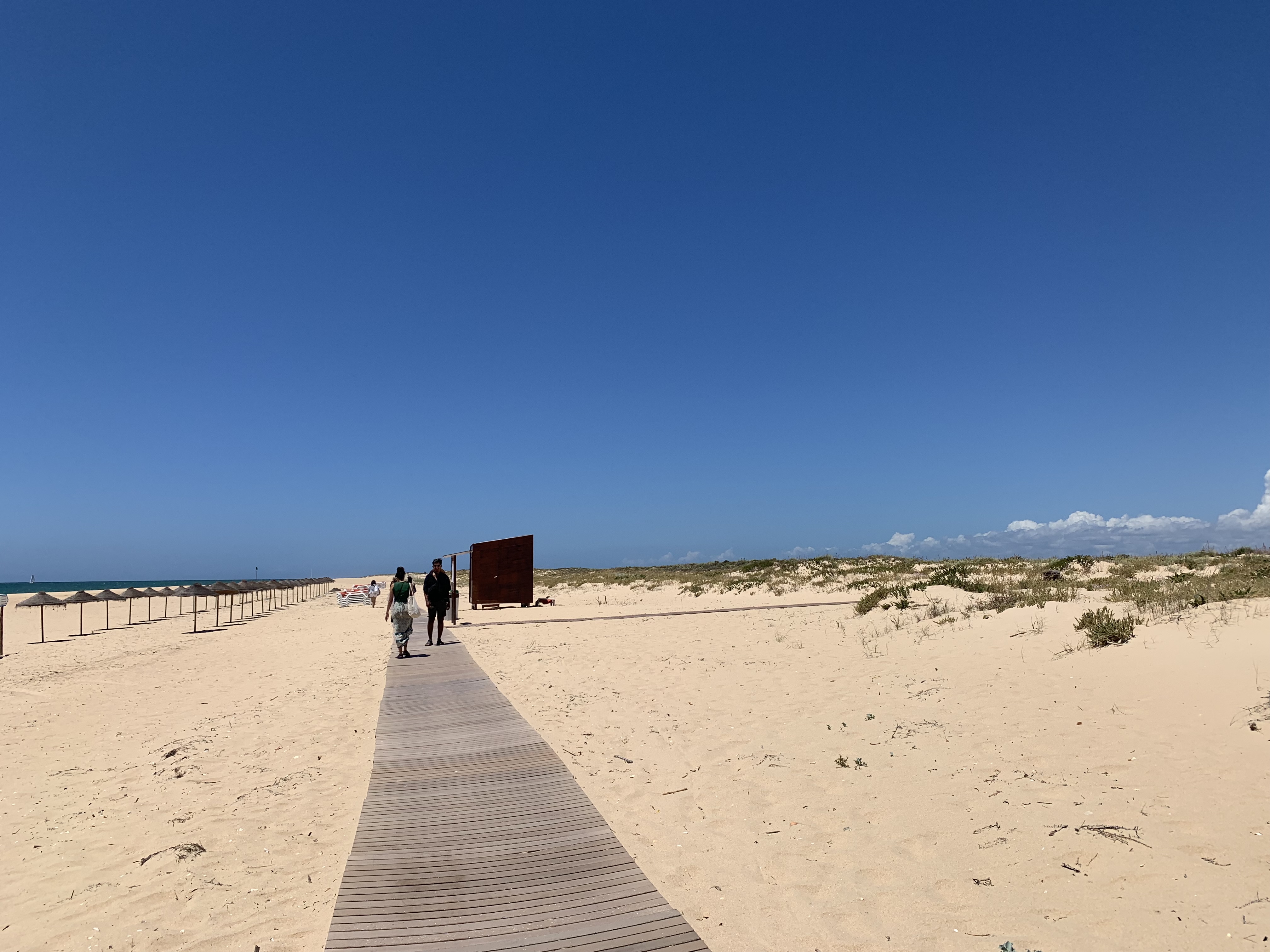 Farol ocean view