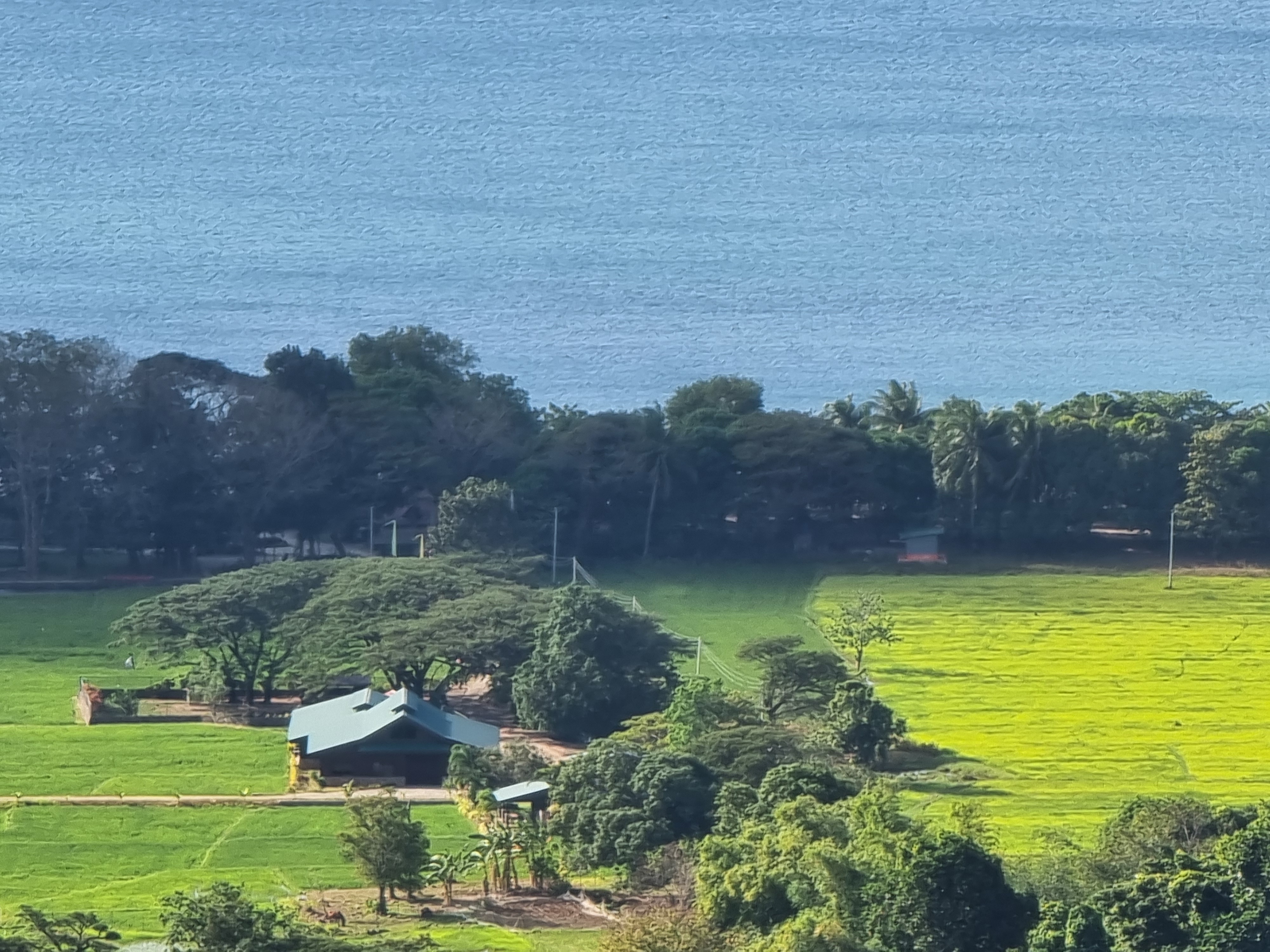 Hiking trail in Bataan
