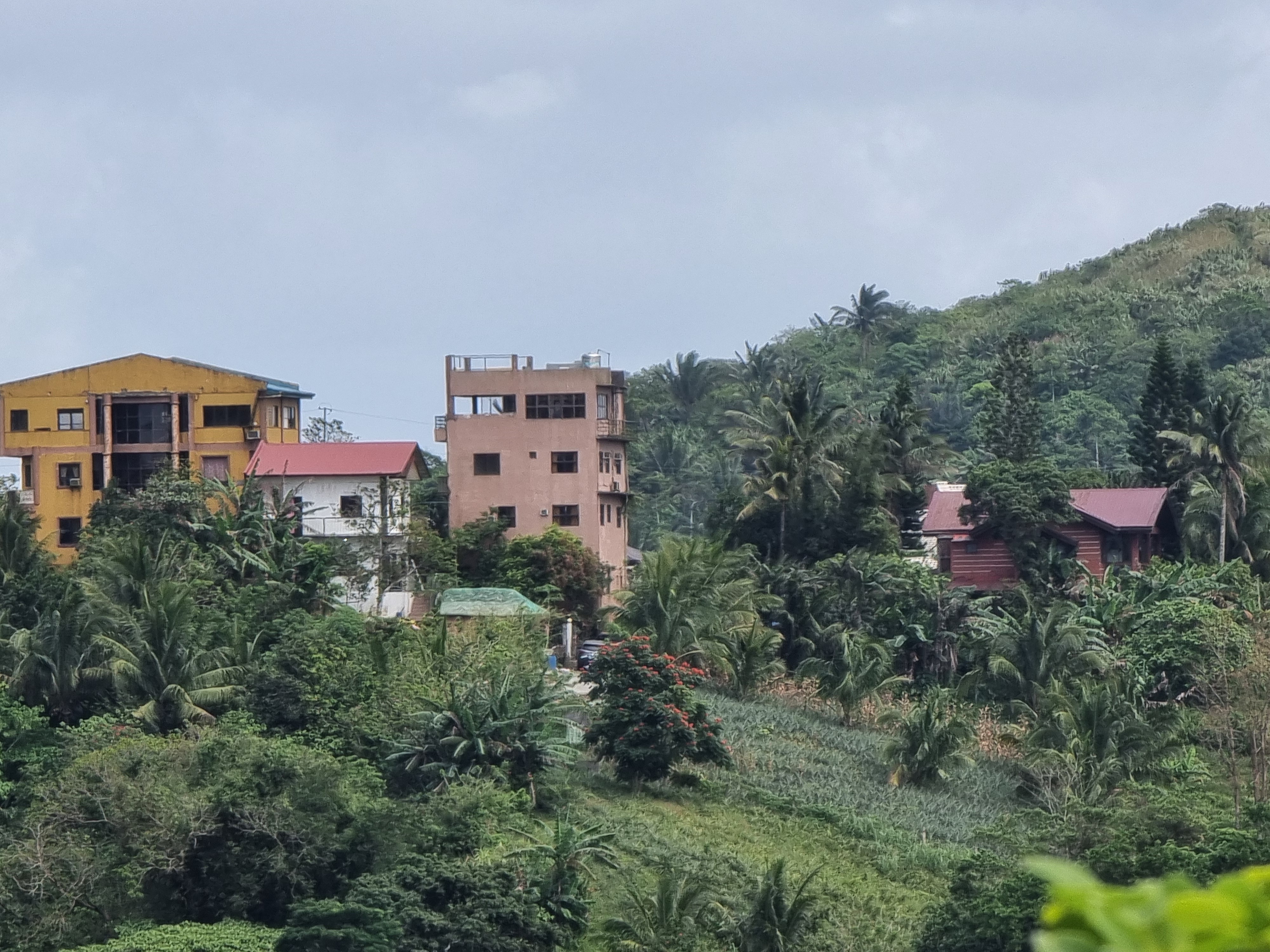 Jungle path in Bataan
